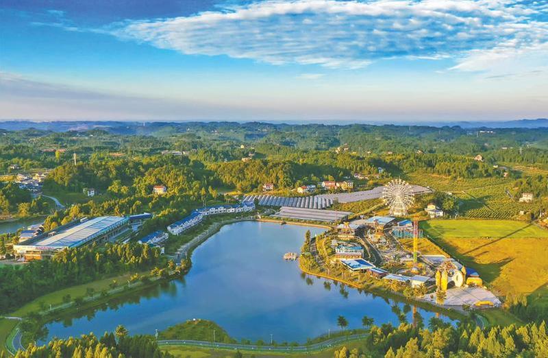 了解柠檬的“前世今生”