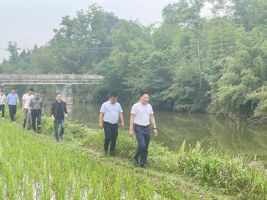武胜县加强箩篼岩河流域生态保护工作