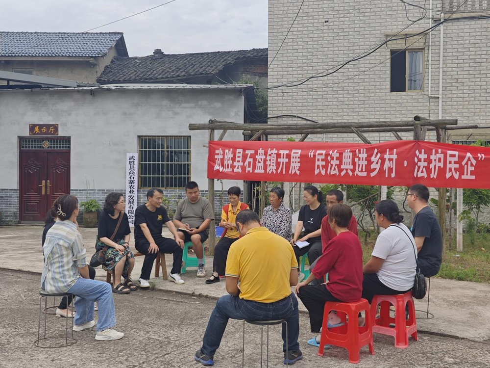 武胜县石盘镇：“典”进乡村·法护民企