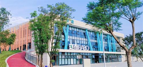 青神县：政企同心 “竹”梦前行