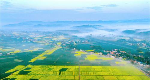 洪雅县：粮仓里绘美景 写生里装乡愁
