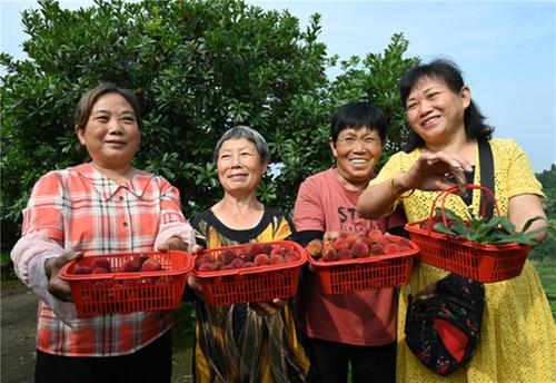 内江市：“杨”你一生 “梅”你不行