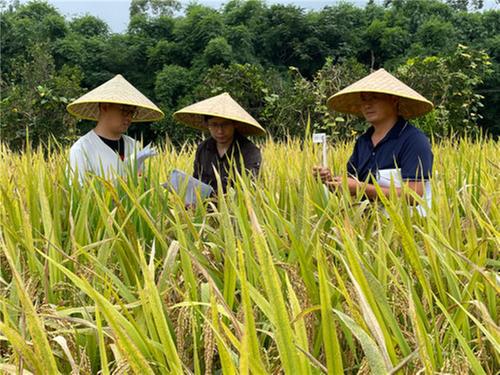 郑仕军：农业科研需要吃苦的精神
