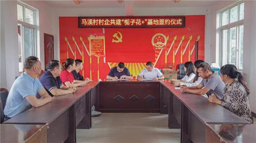 新产业助农增收致富 新模式助力乡村振兴