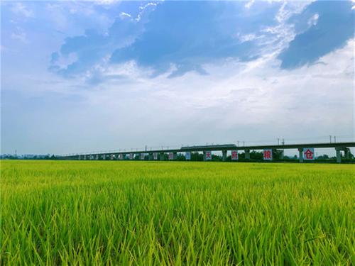 牢记嘱托　感恩奋进 扎实走好眉山高质量发展之路