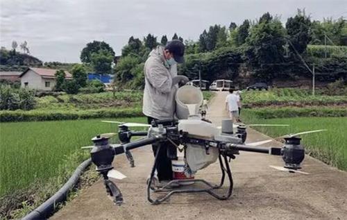 内江市市中区：无人机“上岗” 防治病虫害更高效