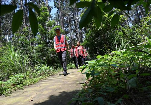 东兴区：“林长+”护航“生态美”