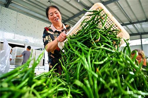 果甜 花香 菜鲜 
