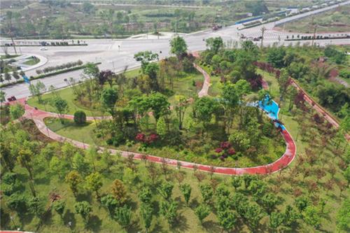 华蓥市综合行政执法局：精细化管养城市绿化 打造精致绿色空间