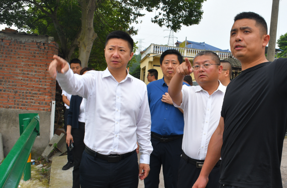 内江市市中区领导调研农村面貌改善及项目推进工作