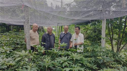 荥经县老科协开展中药材种植科技指导