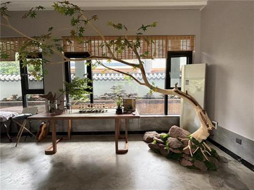 丹棱县：方寸地变聚宝盆 特色民宿助力乡村振兴