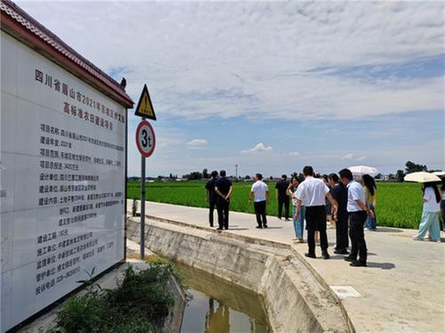 修文镇与四川大学专家团队结对 共绘“天府粮仓”新蓝图