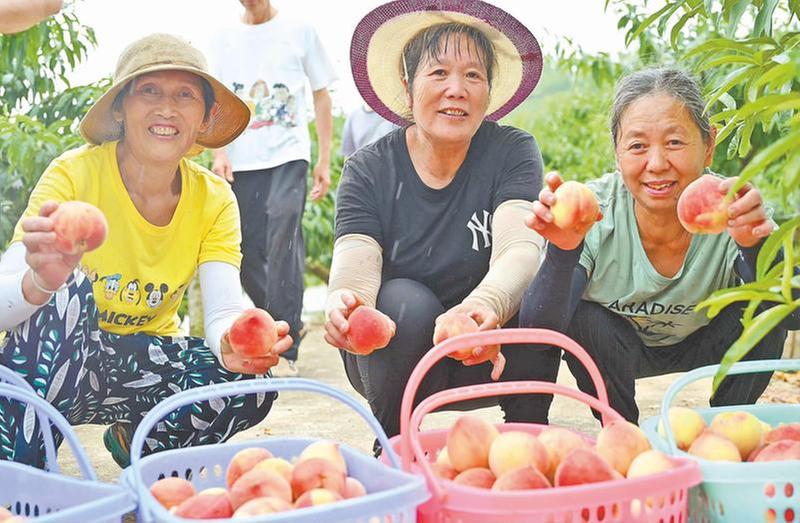 尽享乡村美好时光