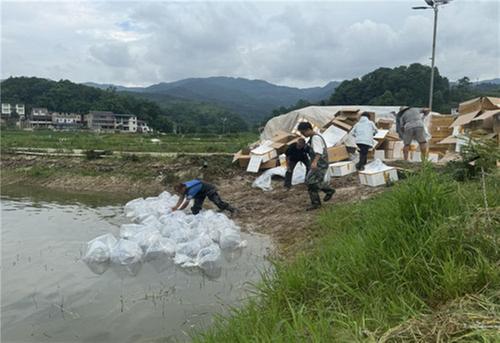 邻水基围虾养殖第一人张著红：与虾共舞，探索内陆养殖新篇章
