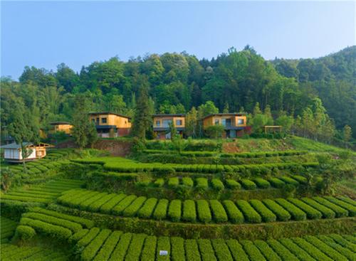 走进老峨山 住进清凉里