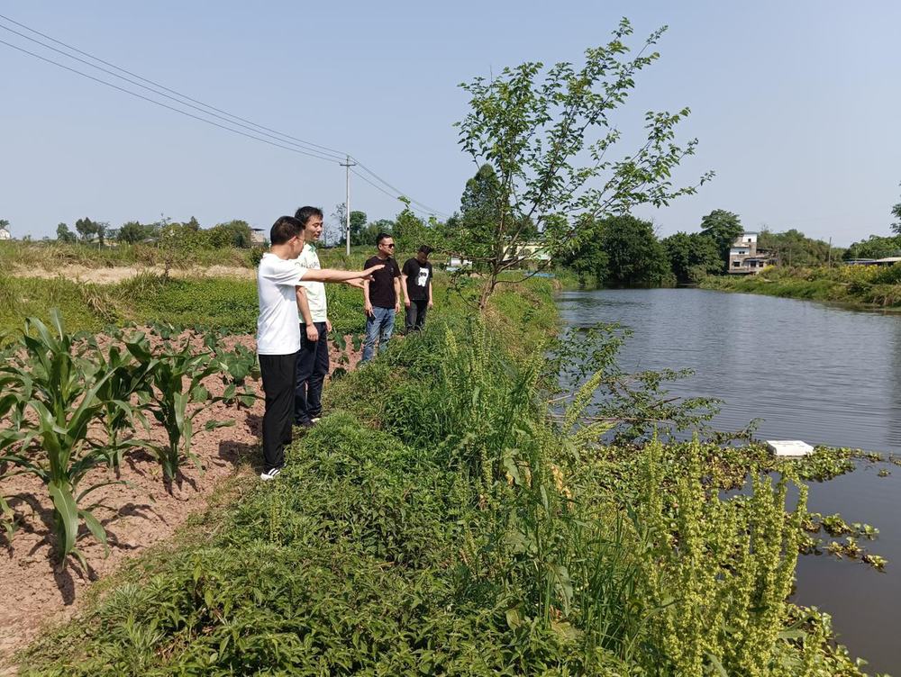 罗渡镇：同守一片碧水，携手共建生态河湖