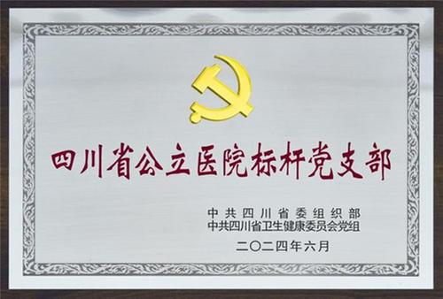 宣汉县人民医院外科第一党支部荣获2023年度四川省公立医院“标杆党支部”荣誉称号