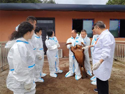 四川省紧缺领域教师技艺技能传承创新平台开展实战操作训练 提升技艺传承本领