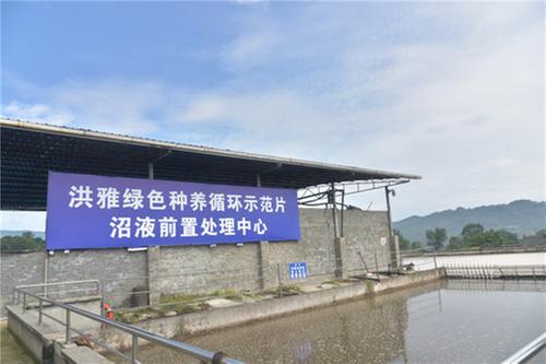 洪雅县：“畜”势勃发 激活奶业发展动能