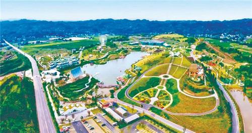 花香织锦 绽放茉莉华彩