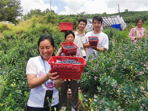 南江县：荒山结出“金钱果” 果农鼓起“钱袋子”