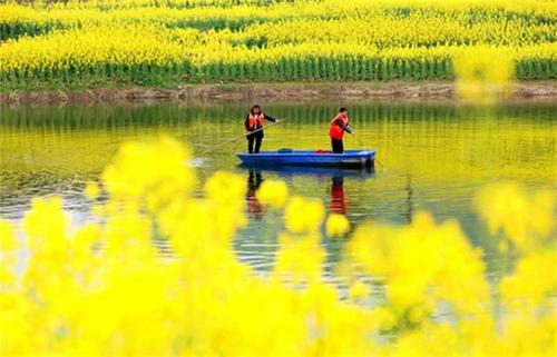 仁寿县：河长制促“河长治” 绘出岸绿景美生态画卷
