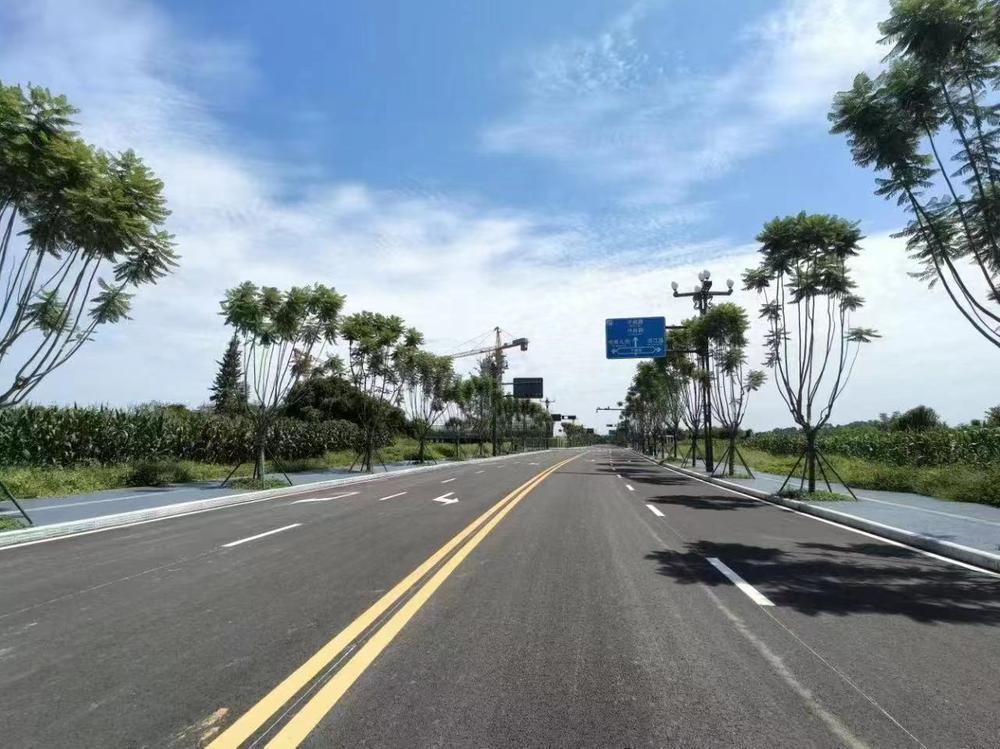 青神县：智慧道路全面建成投用