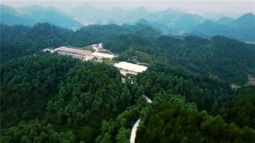 点赞德康集团！四川省科技进步二等奖