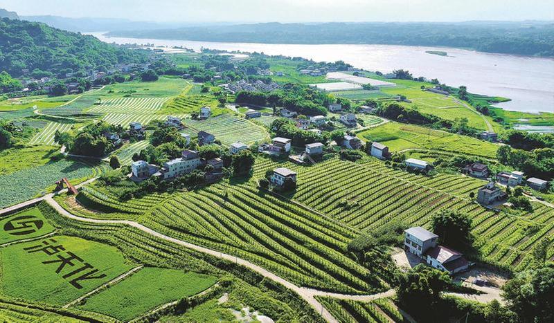 现代农业园助力乡村振兴