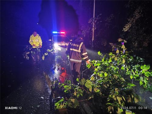 华蓥市：树木倒塌阻道路 溪口民警促通行