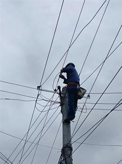 国网郫都供电公司团结供电所党员服务队：电力优质服务助推乡村产业发展