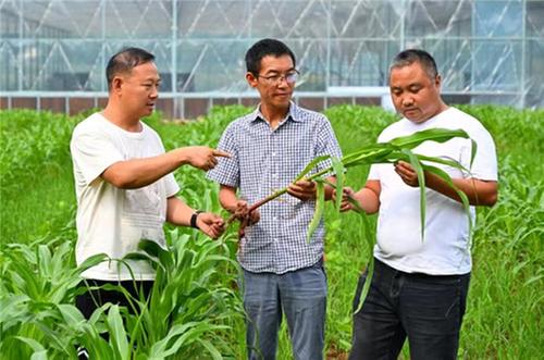 仁寿县：乡野沃土间 返乡开出“创业之花”