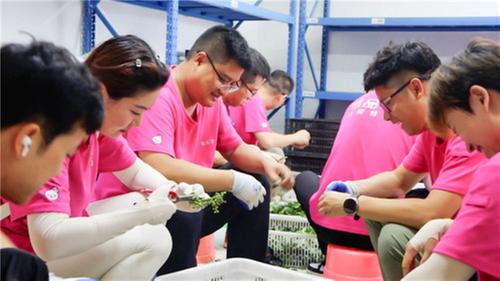 唯品会“一仓一村”公益项目助力简阳农产品现摘直发