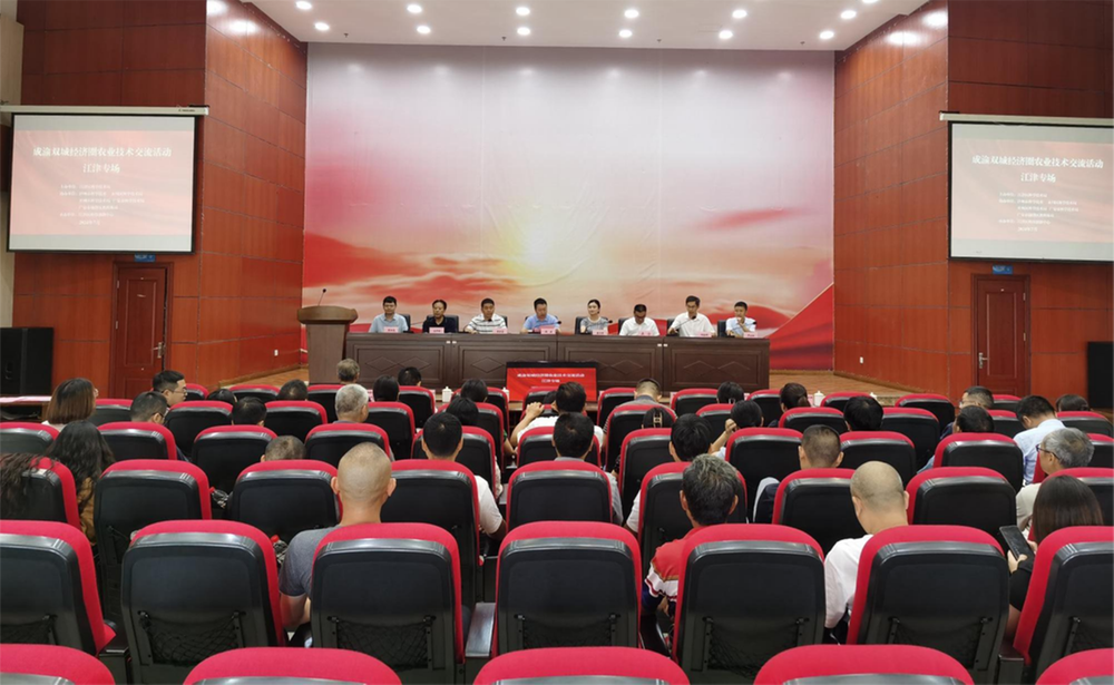 前锋区：奏响“椒享悦”  唱好“双城记”