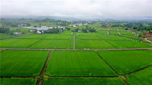 广安：锦绣田园 天府粮仓