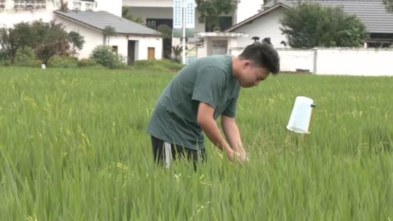 青神县：“新农人”用青春书写乡村振兴梦
