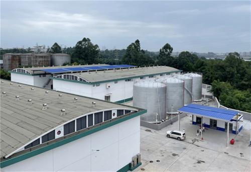 青神县粮油仓储设施（高标准粮仓）项目建成完工