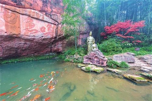 跨越千里 青与凤行