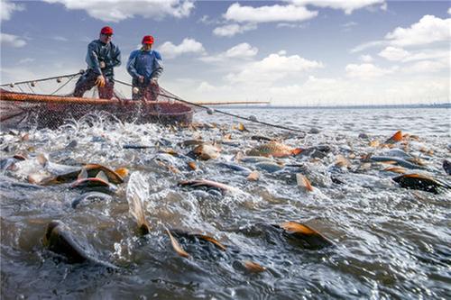 与“棱”相遇 “扬”帆启航