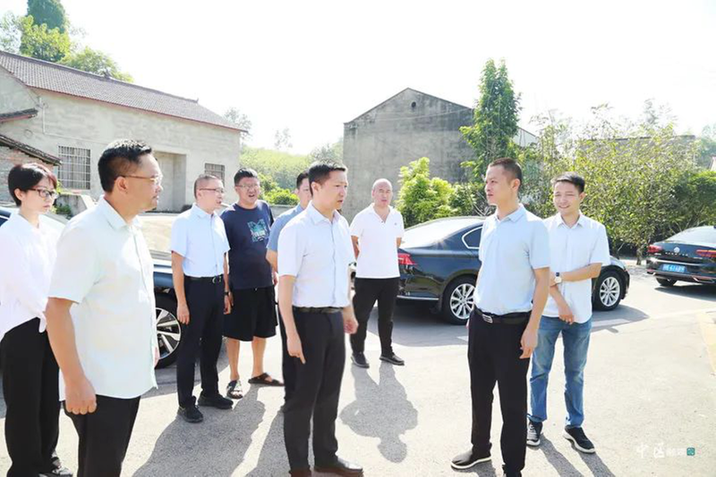 内江市市中区领导调研农村面貌改善、高标准农田建设和巩固拓展脱贫攻坚成果工作