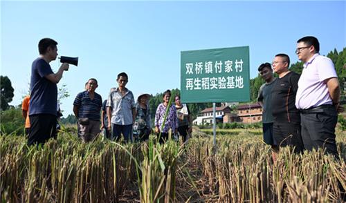 东兴区：“书记课堂”夯实“天府粮仓”