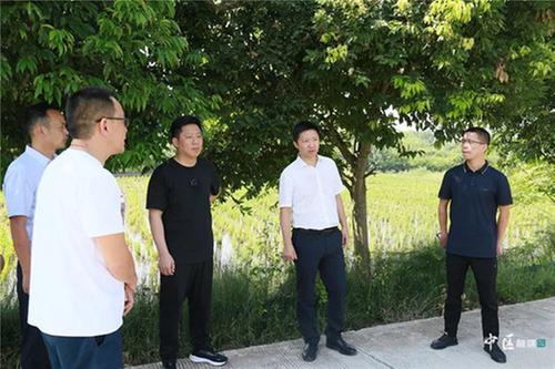 内江市市中区领导调研永安镇村集体经济发展和黄鹤水库中型灌区项目推进情况