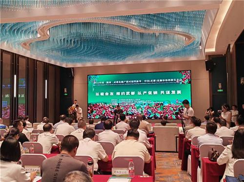 量稳质优 价格抗跌，“武都花椒”引领市场风向