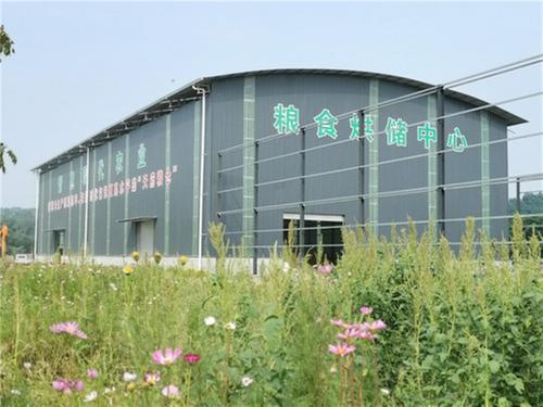 青神县：稻谷烘干归仓忙