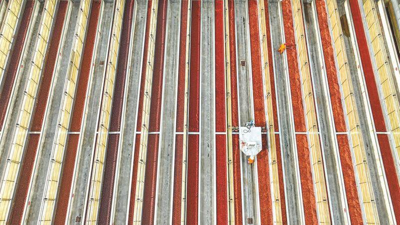 晒出产业“红”