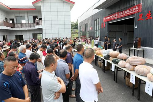 广安市：欢天喜地庆丰收 趣味运动迎国庆