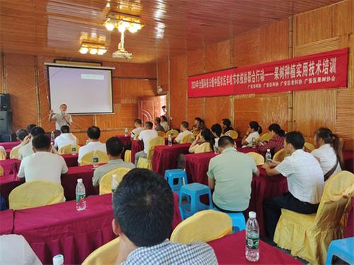 广安区开展2024年全国科普日暨农民丰收节农技协联合行动——果树种植实用技术培训