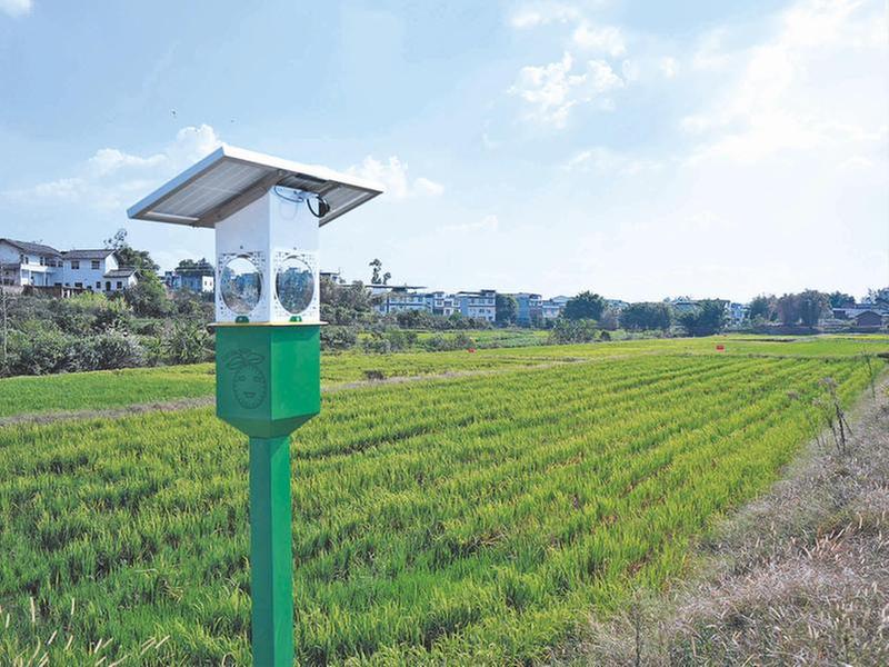 打造智慧农业样板 富顺县4万亩高标准农田有了“智能心”