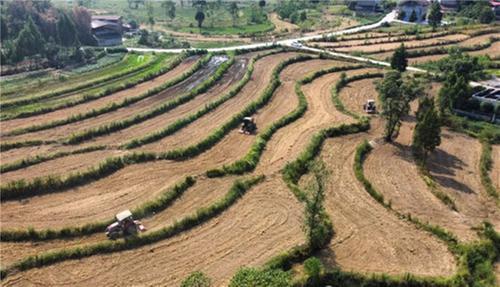 广安区抢抓时节绘就来年好“丰”景！